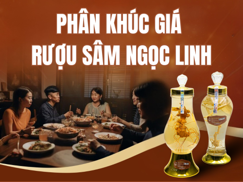 Giá rượu sâm Ngọc Linh mới nhất 2025: Vì sao đắt đỏ? Có xứng đáng để bạn đầu tư?